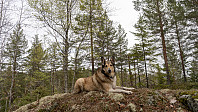 ovega_20190514_5cdaf35038b31.jpeg