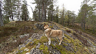 ovega_20190514_5cdaf3520e0df.jpeg