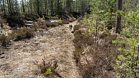 ovega_20190514_5cdb085415b16.jpeg