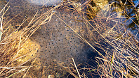 ovega_20190514_5cdb085eb6e20.jpeg