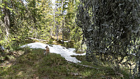 ovega_20190517_5cde6e8f04ca0.jpeg