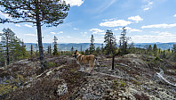 ovega_20190517_5cde6e94f0f50.jpeg