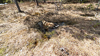 ovega_20190517_5cde6e96b602d.jpeg