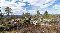 ovega_20190517_5cde6e9cb9df0.jpeg