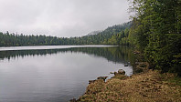 ovega_20190519_5ce1876f6433e.jpeg