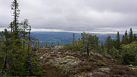 ovega_20190525_5ce8d30e4cd1b.jpeg