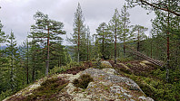 ovega_20190525_5ce8d459b405c.jpeg