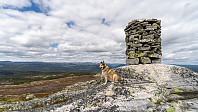 ovega_20190526_5cea3424f15c6.jpeg