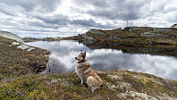 ovega_20190526_5cea342c0fab4.jpeg