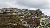 ovega_20190526_5cea342fd001a.jpeg