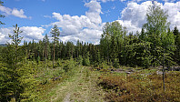 ovega_20190528_5ced6d7aa9664.jpeg