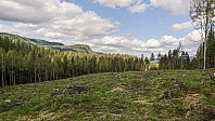 ovega_20190528_5ced6d7e3c694.jpeg
