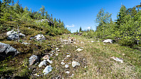 ovega_20190601_5cf22421f1f70.jpeg