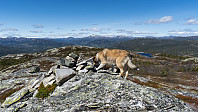 ovega_20190601_5cf22429814ae.jpeg