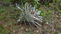 ovega_20190607_5cf9fb7561c3e.jpeg