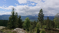 ovega_20190607_5cf9fb7a619de.jpeg