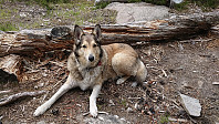 ovega_20190607_5cf9fe43c3531.jpeg