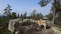 ovega_20190607_5cfa8f85e00cf.jpeg