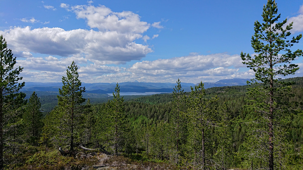 Follsjø fra Elgslikollen
