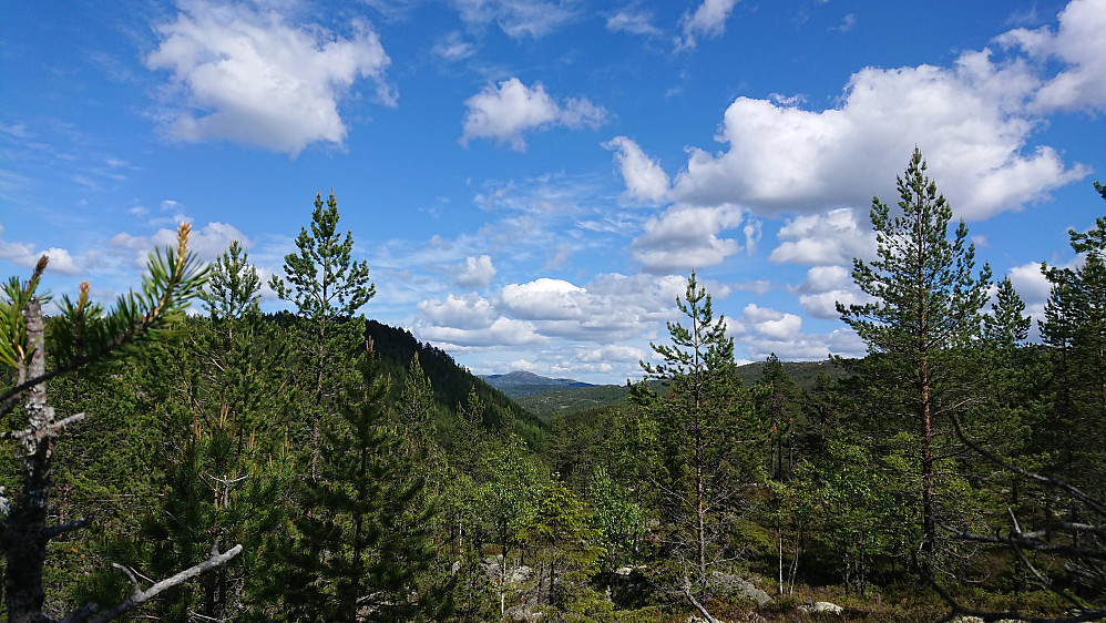 Jonsknuten fra Elgslikollen
