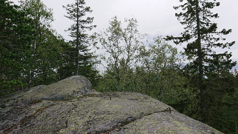 Nordøst for Fjellstua