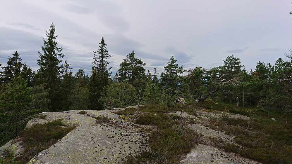 Fjellstua