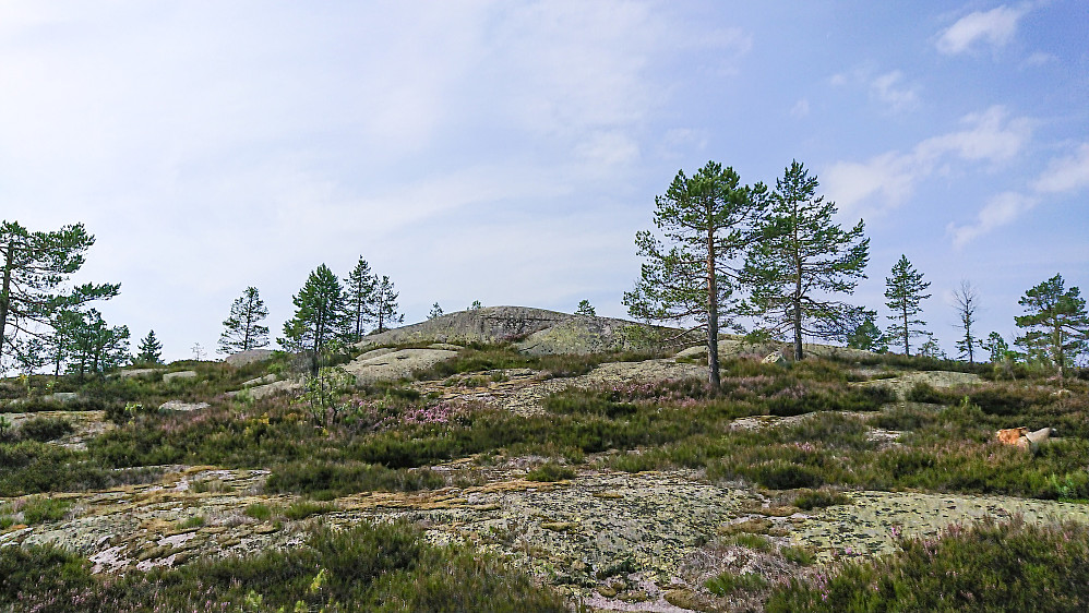 Vestknabben