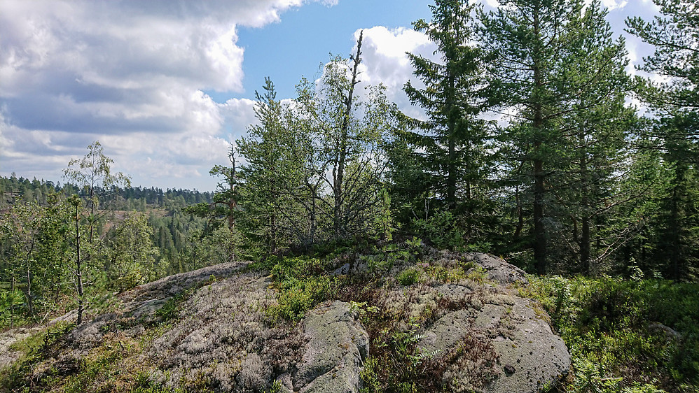 Lågtjernberget Øst