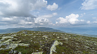 ovega_20190806_5d49ac530dabb.jpeg