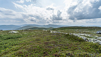 ovega_20190806_5d49ac547c961.jpeg