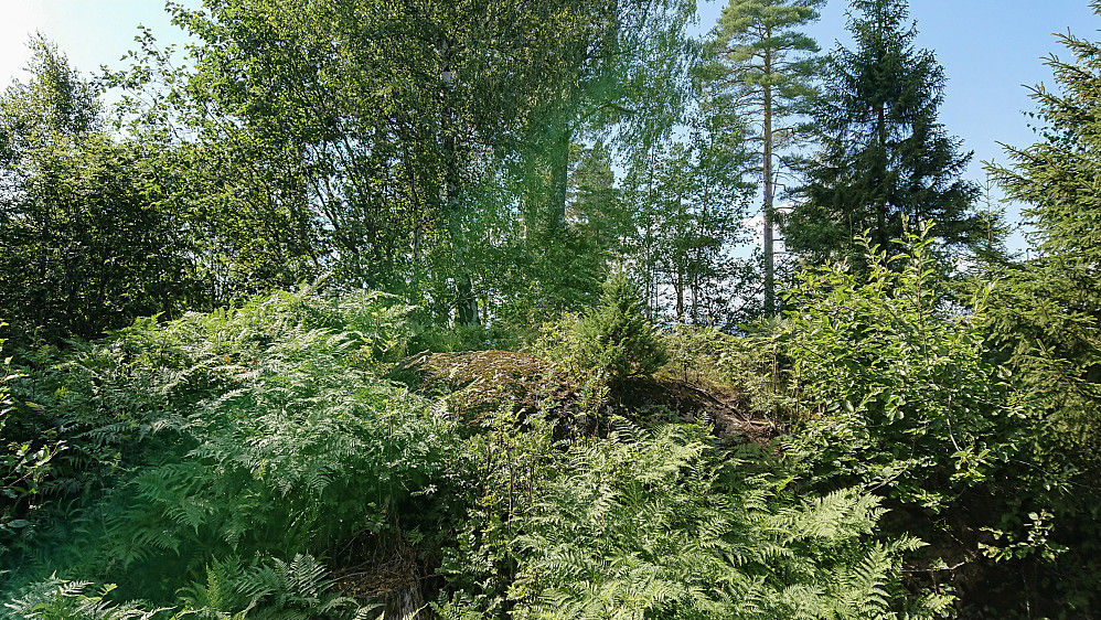 Kulerudåsen