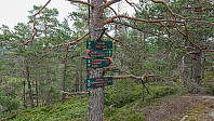 ovega_20190812_5d518b8a96e3d.jpeg