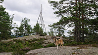 ovega_20190812_5d518b8db7478.jpeg