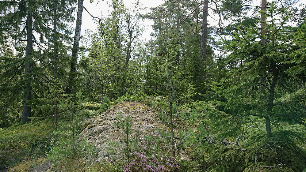Bufjell