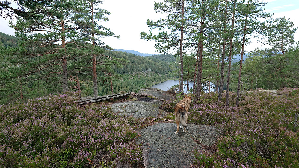 Tjuvborgen
