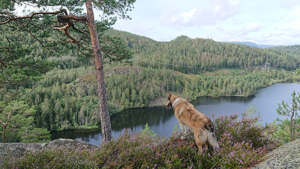 Utsikt fra Tjuvborgen
