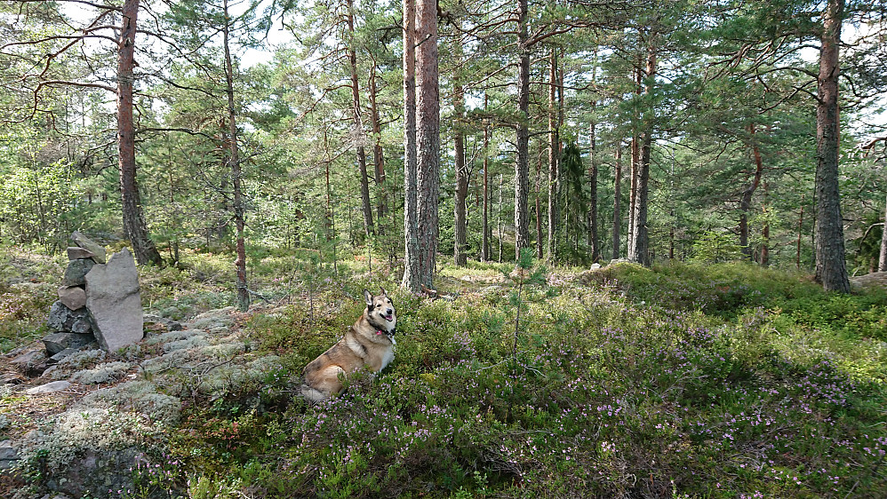 Kaldåkeråsen