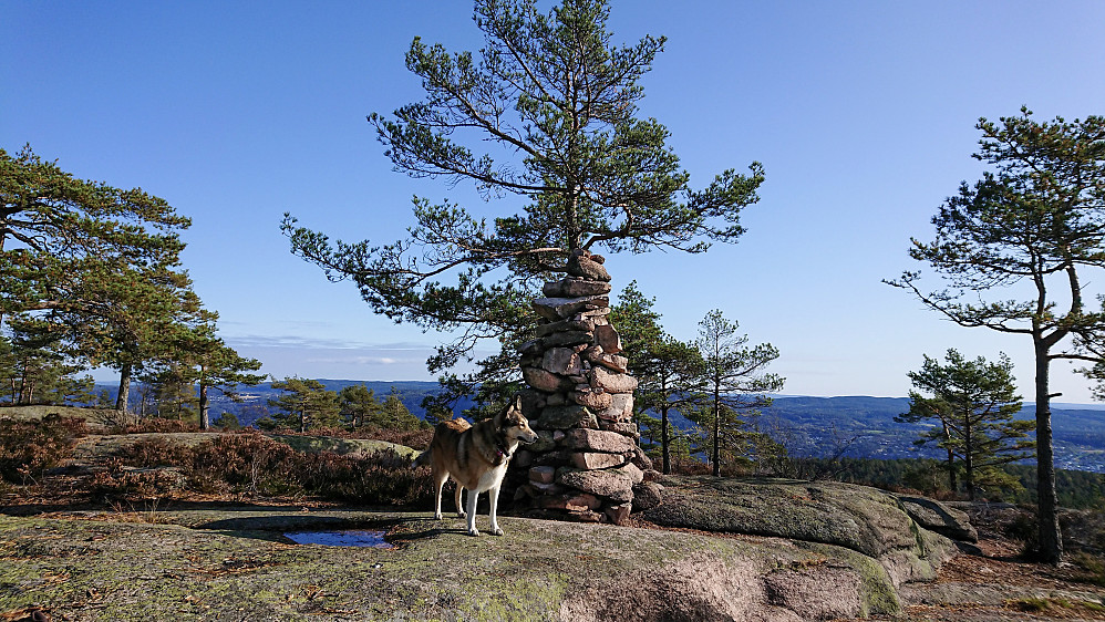 Utsiktspunkt Høgåsen