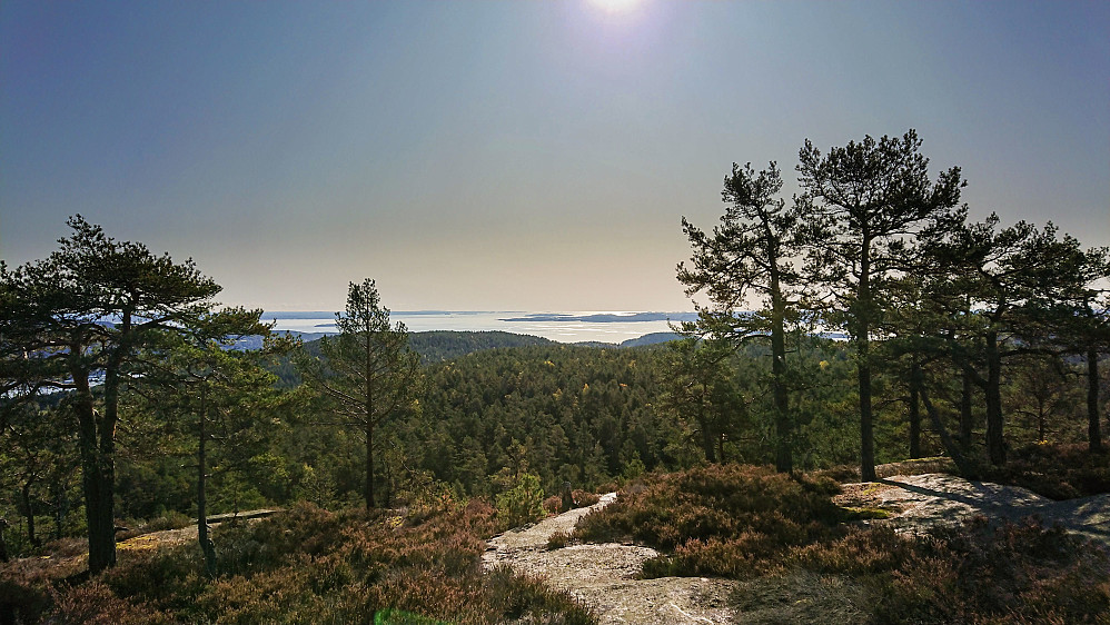 Utsikt fra utsiktspunktet på Høgåsen