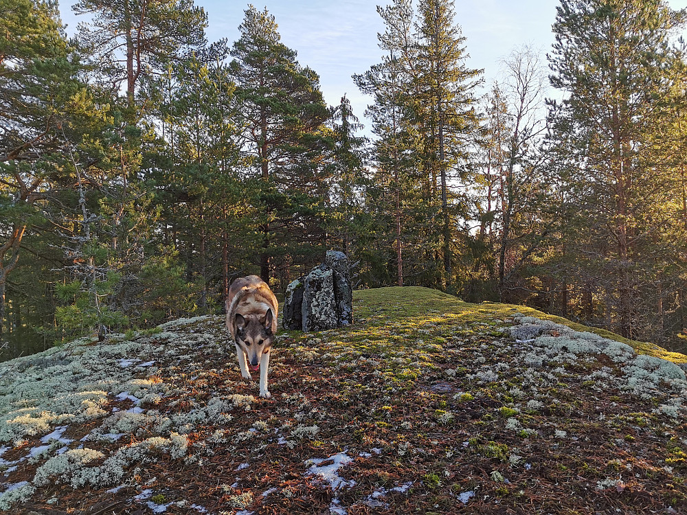 Hvarneskollen Nord