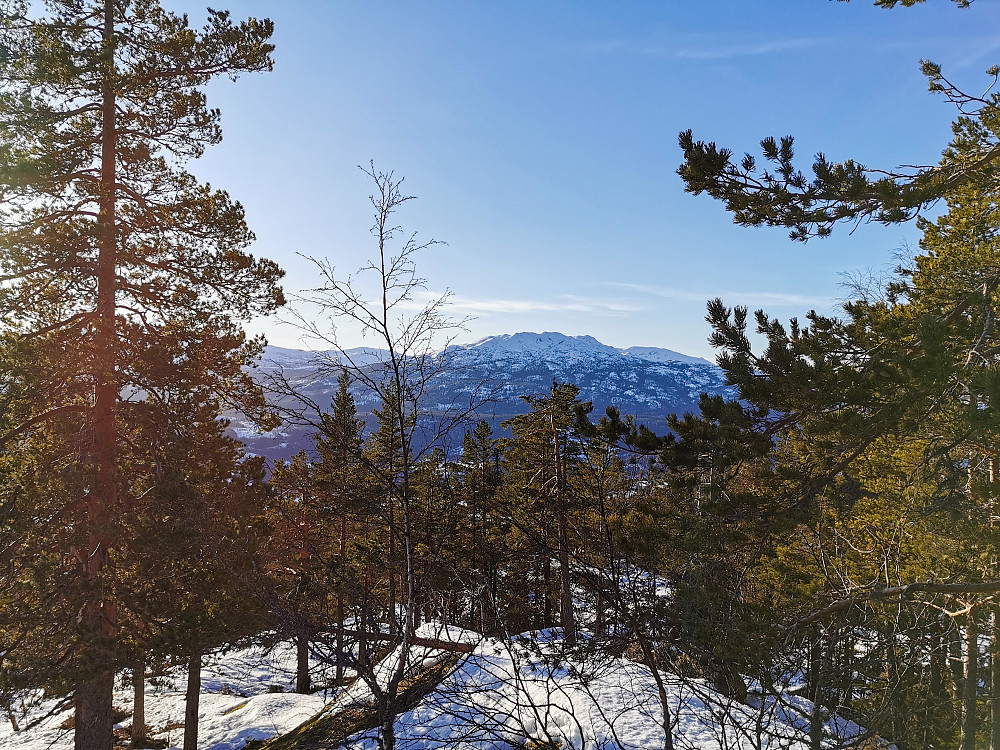 Utsikt fra Skogsfjell