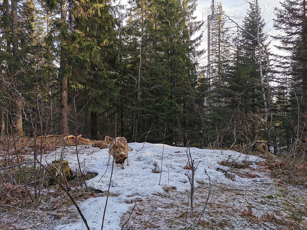 Gruveåsen