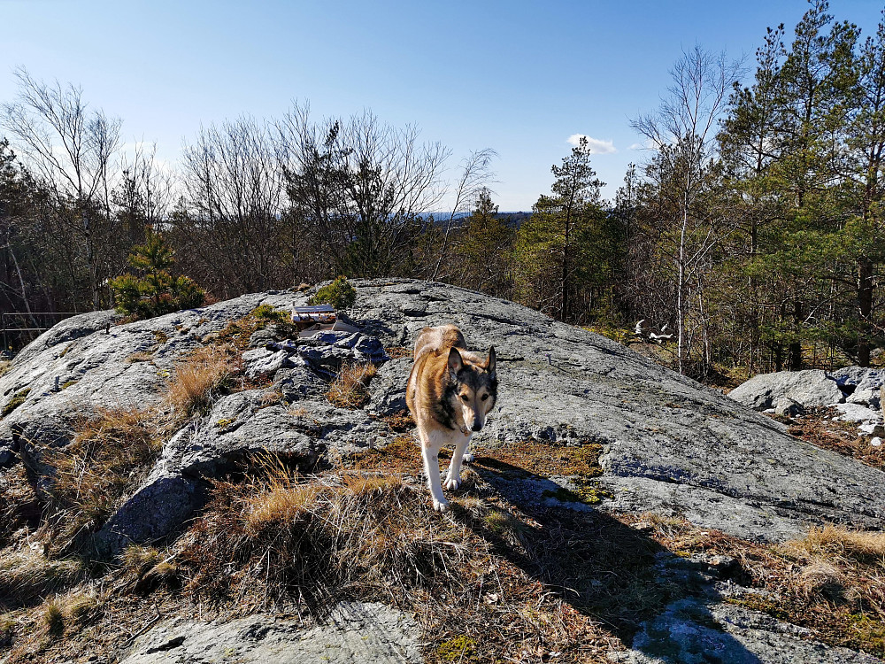 Kjerringberget