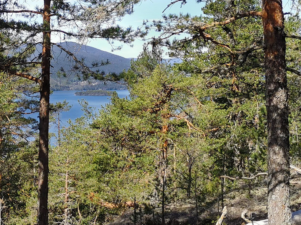 Utsikt til Holtøya