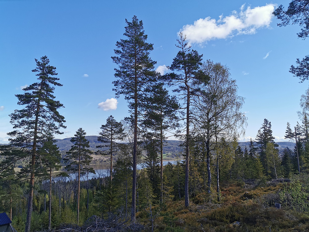 Utsikt til Hillestadvannet fra Lørdalåsen