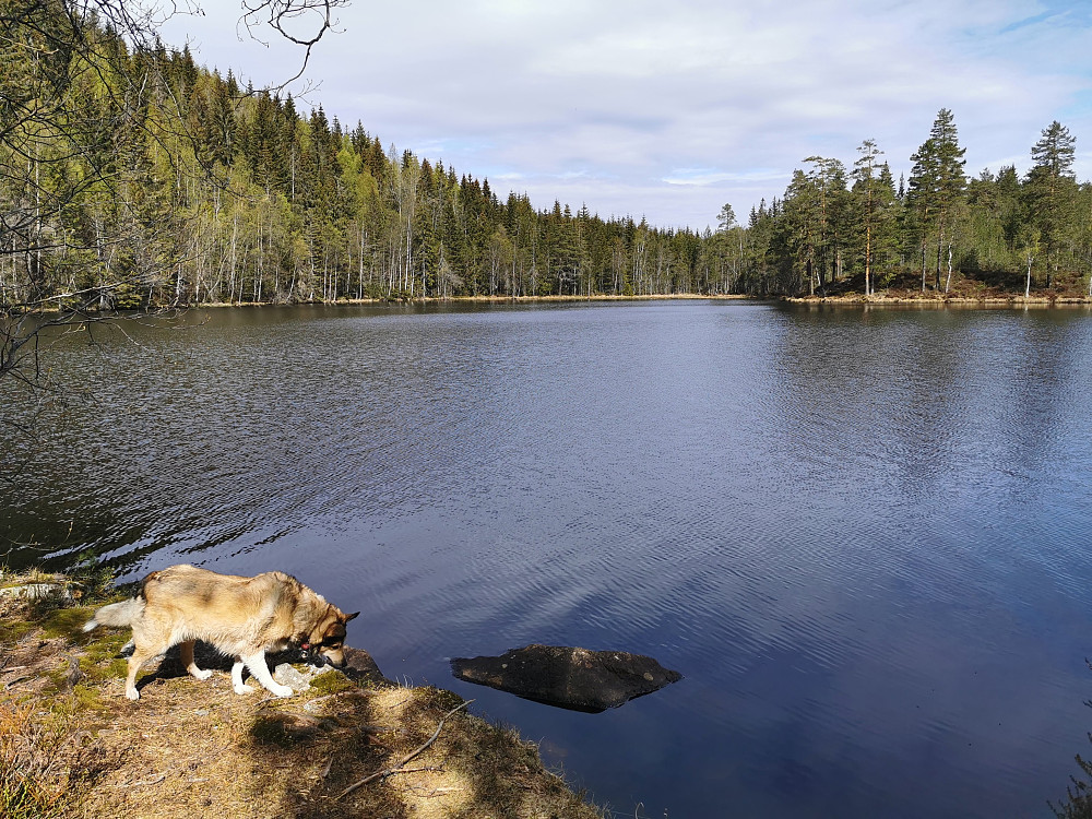 Djupdalstjern