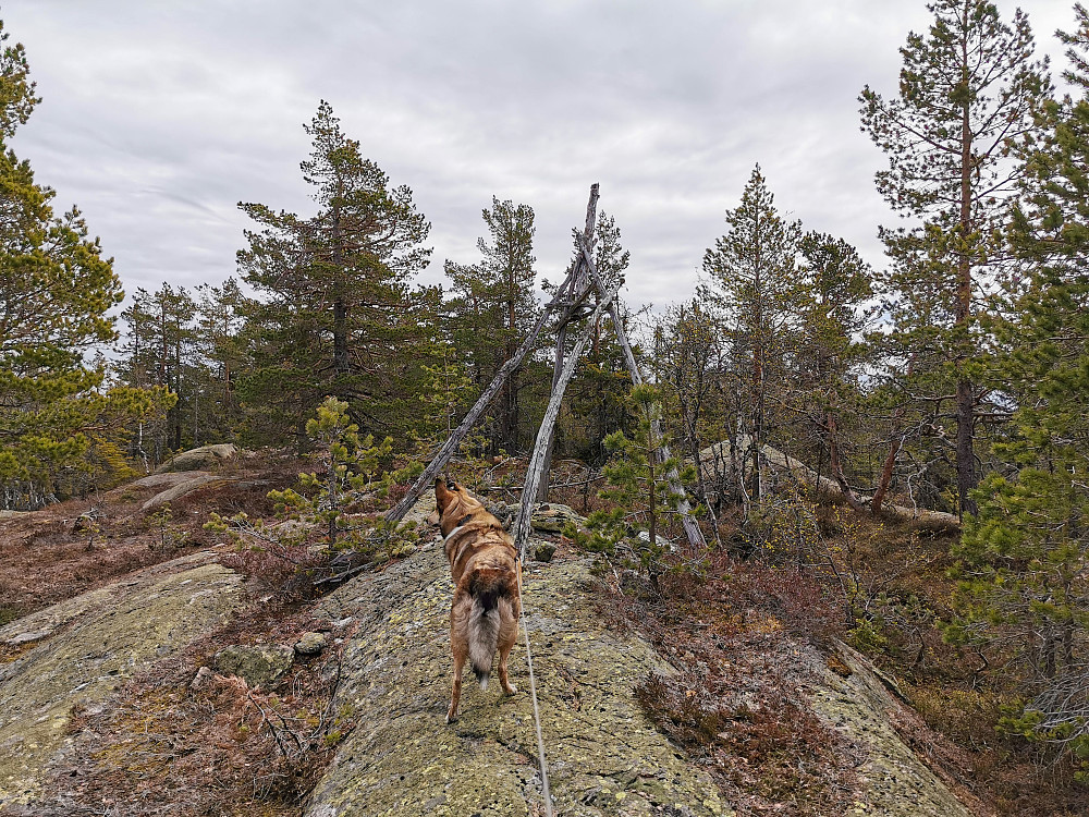 Klokksfjellet