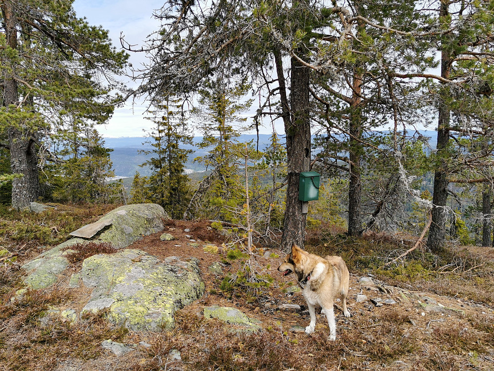 Rasteplass med turboka til Klokksfjell