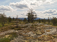 ovega_20200621_5eef59801018a.jpeg