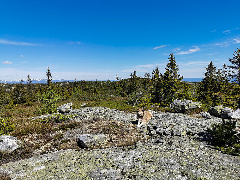 Fagerliåsen